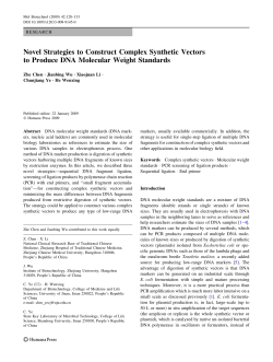 Novel Strategies to Construct Complex Synthetic Vectors to Produce