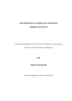 The phonology of word-level suffixes in German and