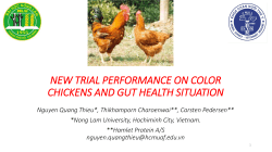 NEW TRIAL PERFORMANCE ON COLOR CHICKENS AND GUT