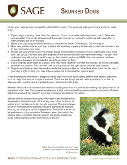 skunked dogs - SAGE Centers