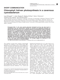 Chlorophyll f-driven photosynthesis in a cavernous