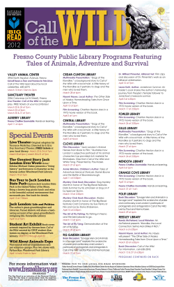 Daisies, Brownies and Girl Scouts!