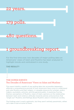 Super Survey Summary - The Bridge Initiative