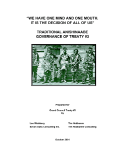 traditional anishinaabe governance of treaty #3