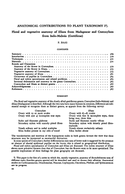 I. Madagascar Cratoxylum (Guttiferae) - UvA-DARE