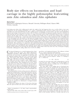 Body size effects on locomotion and load carriage in the highly