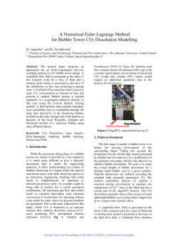 A Numerical Euler-Lagrange Method for Bubble Tower CO2