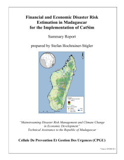 Financial and Economic Disaster Risk Estimation in Madagascar for