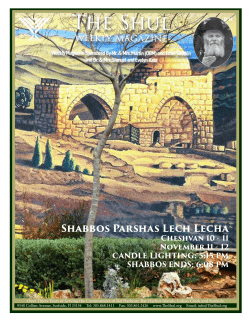 The Shul - ShulCloud