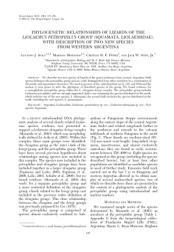 phylogenetic relationships of lizards of the liolaemus