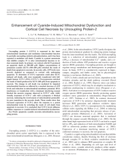 Enhancement of Cyanide-Induced Mitochondrial