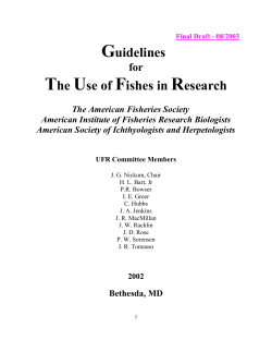 Use of Fish in Research Guidelines | NSU IACUC