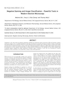 Negative Staining and Image Classification