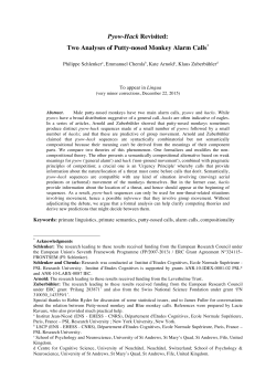 Pyow-Hack Revisited: Two Analyses of Putty