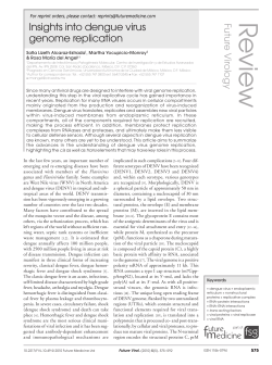 Insights into dengue virus genome replication