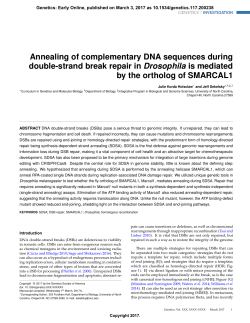 Annealing of complementary DNA sequences during double