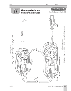 Unit 3 Resources - Schoolwires.net