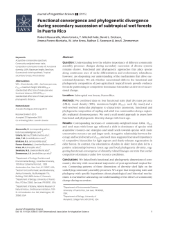 Functional convergence and phylogenetic divergence during