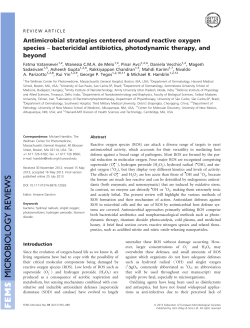 Antimicrobial strategies centered around reactive oxygen species