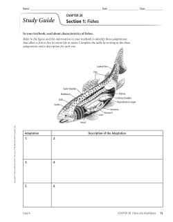 Study Guide - South Sevier High School