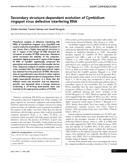 Secondary structure-dependent evolution of Cymbidium ringspot