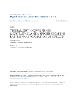 the earliest known fisher (mustelidae), a new species from the