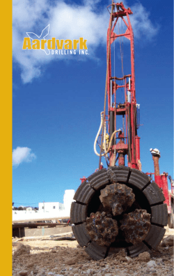 Aardvark Drilling Inc.