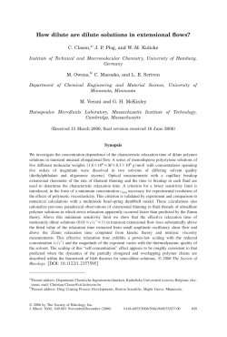 How dilute are dilute solutions in extensional flows?