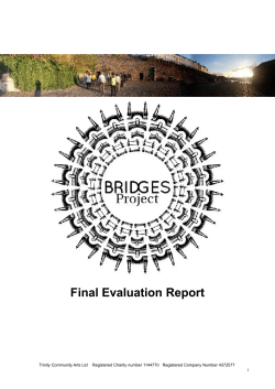 Bridges Project Report - Trinity Community Arts