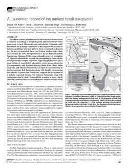 A Laurentian record of the earliest fossil eukaryotes