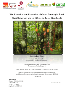 The Evolution and Expansion of Cacao Farming in South West