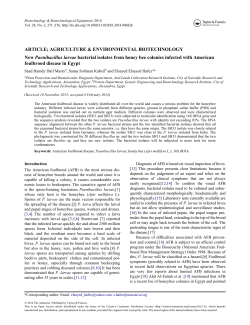 New Paenibacillus larvae bacterial isolates from honey bee colonies