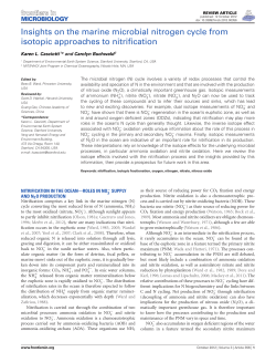 Insights on the marine microbial nitrogen cycle from isotopic