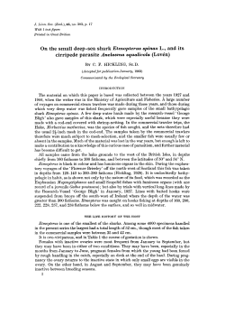 On the small deepsea shark Etmopterus spinax L., and its cirripede