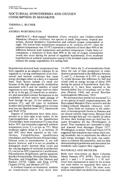 Nocturnal Hypothermia and Oxygen Consumption in Manakins