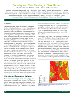 Forestry and Tree Planting in New Mexico
