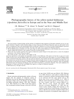 Apodemus flavicollis - ART