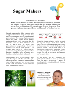 Sugar Makers - American Society of Plant Biologists