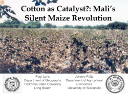 Mali maize revolution