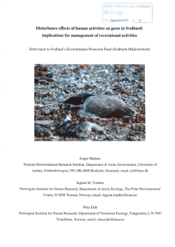 Disturbance effects of human activities on geese in