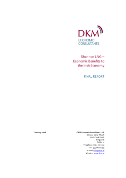 Shannon LNG &ndash; Economic Benefits to the Irish Economy