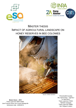 master thesis impact of agricultural landscape on