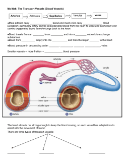 Ms Mak: The Transport Vessels (Blood Vessels) Most arteries carry