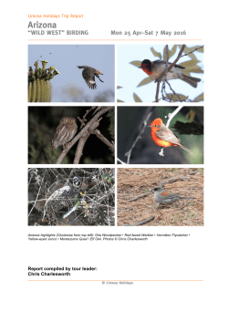 Arizona Bird Report April 2016