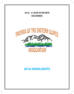 2016 Year in Review FOESA Newsletter