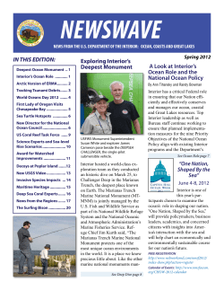 200 decoys - Ocean Conservancy