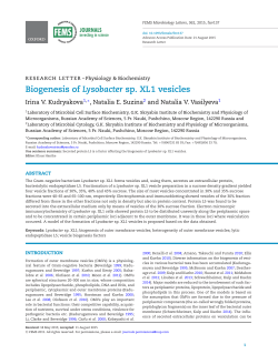 Biogenesis of Lysobacter sp. XL1 vesicles