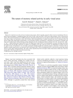 The nature of memory related activity in early