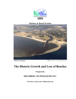 Growth and Loss of Beaches - Holmberg Technologies, Inc.