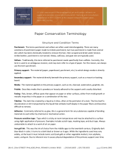 Paper Conservation Terminology